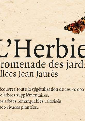 L'herbier des Allées Jean Jaurès