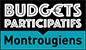 Budgets participatifs