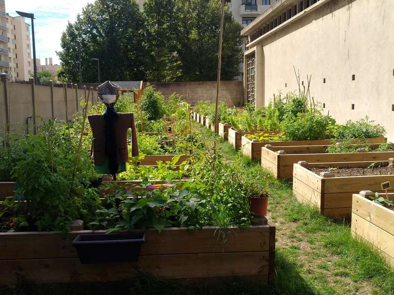 Co-jardinage: un site pour partager un bout de jardin